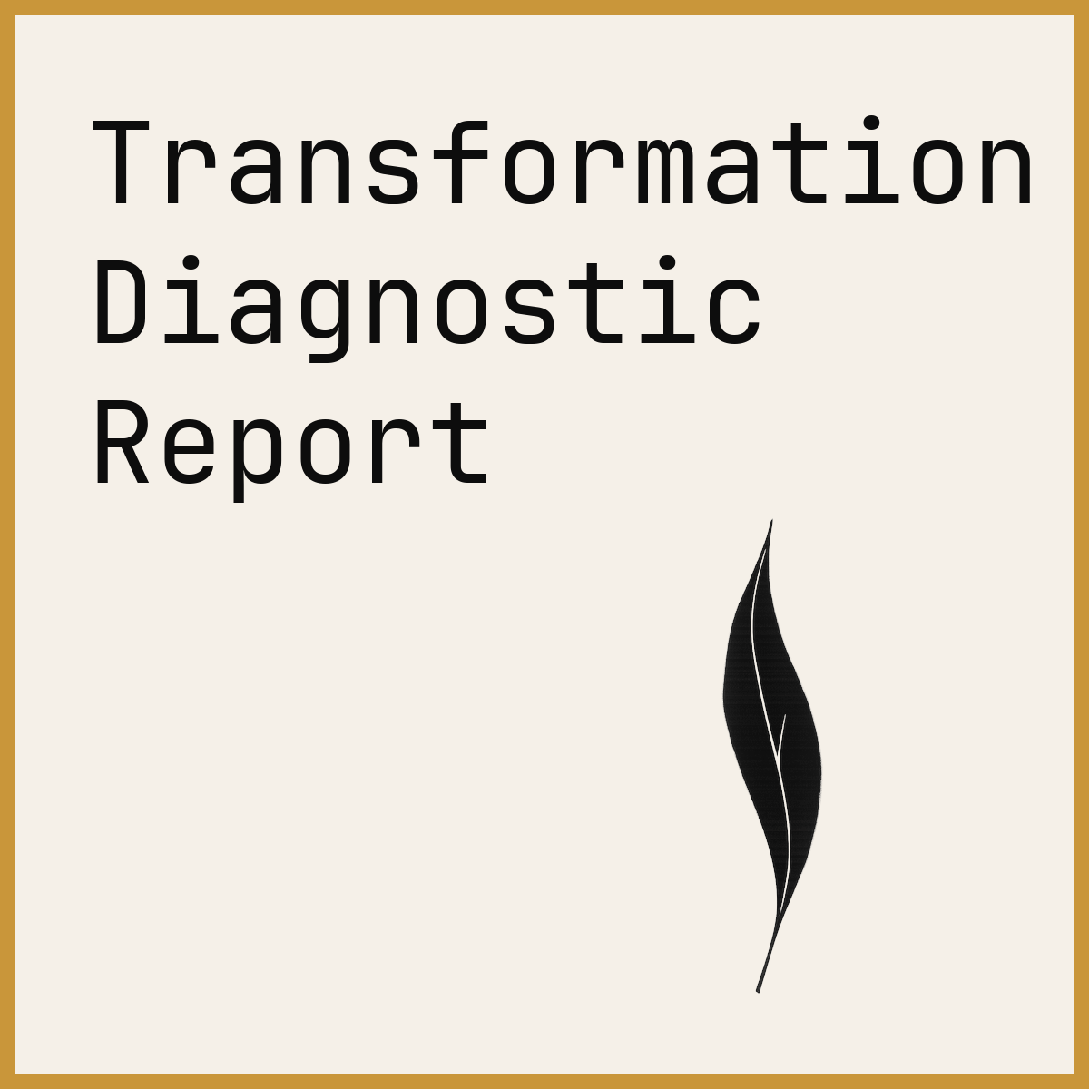 Transformation Diagnostic Report