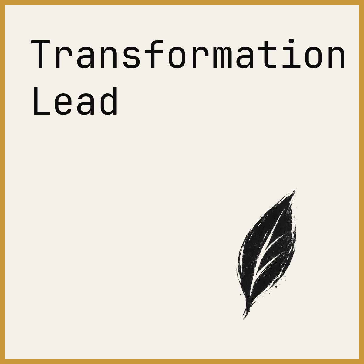Transformation Lead