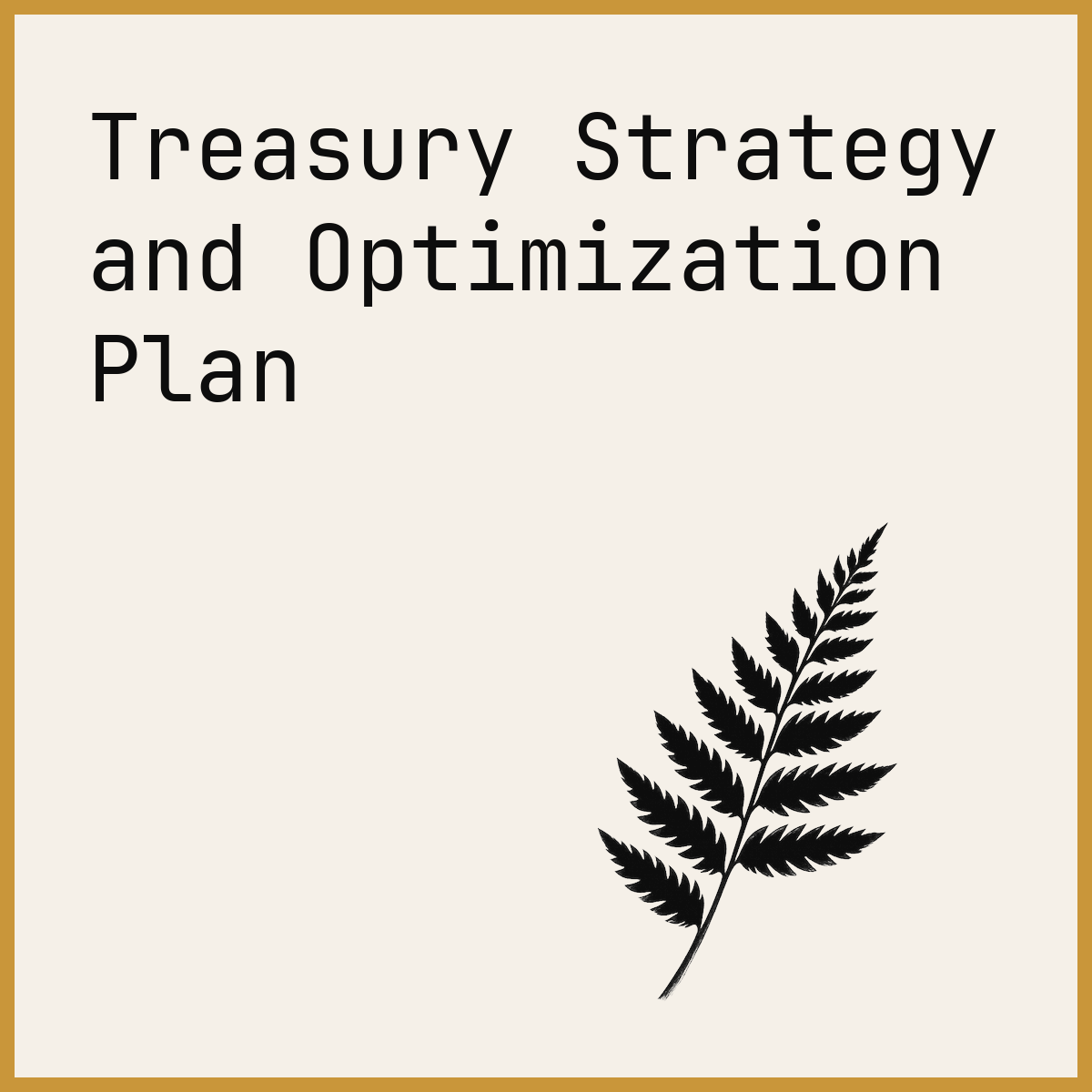 Treasury Strategy and Optimization Plan