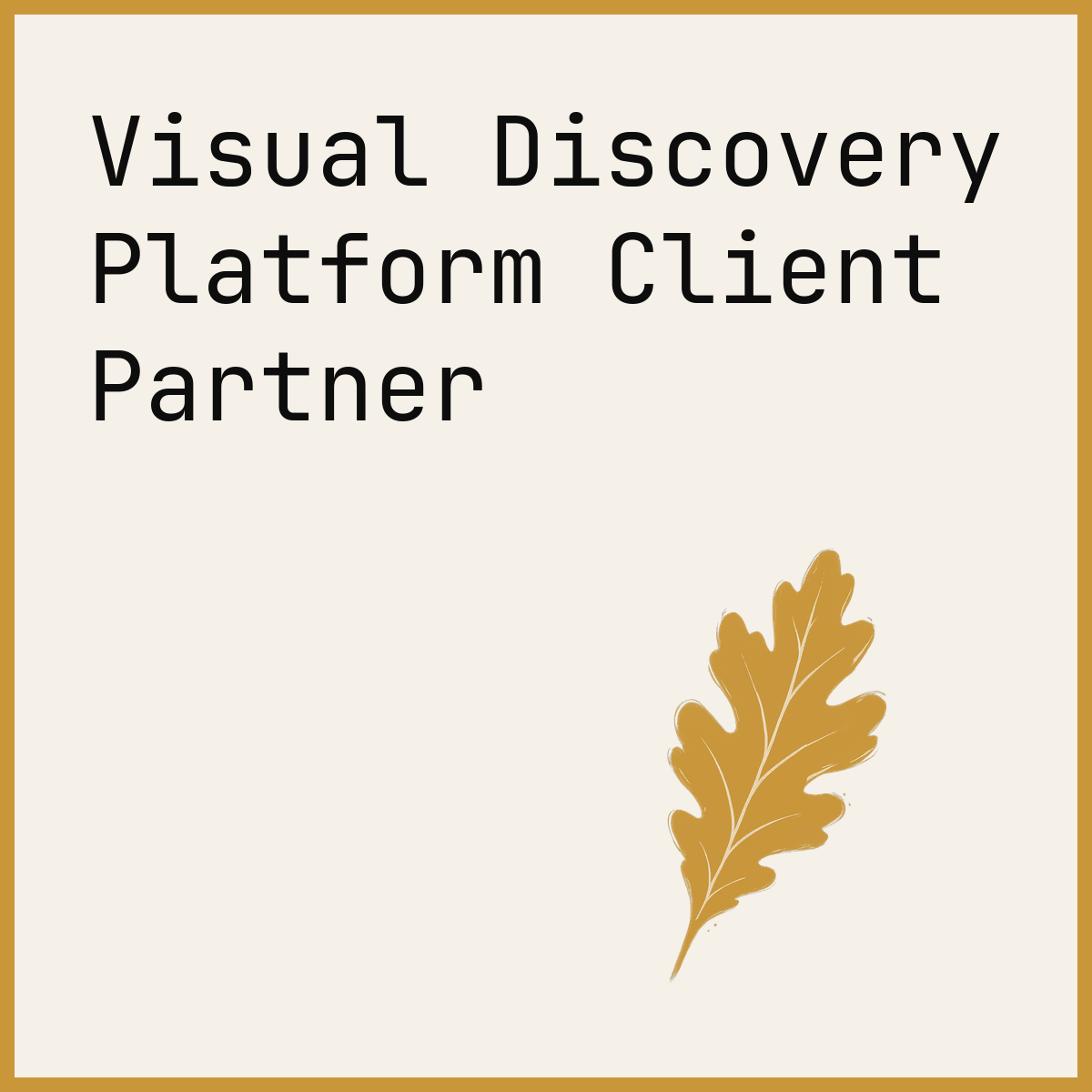 Visual Discovery Platform Client Partner