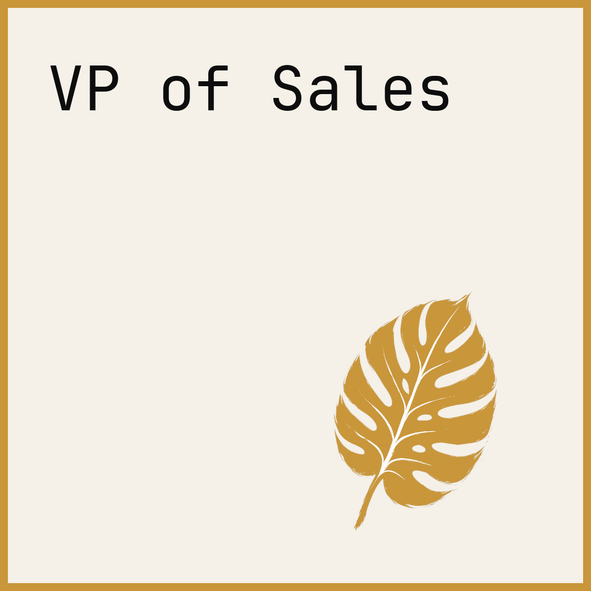 VP of Sales