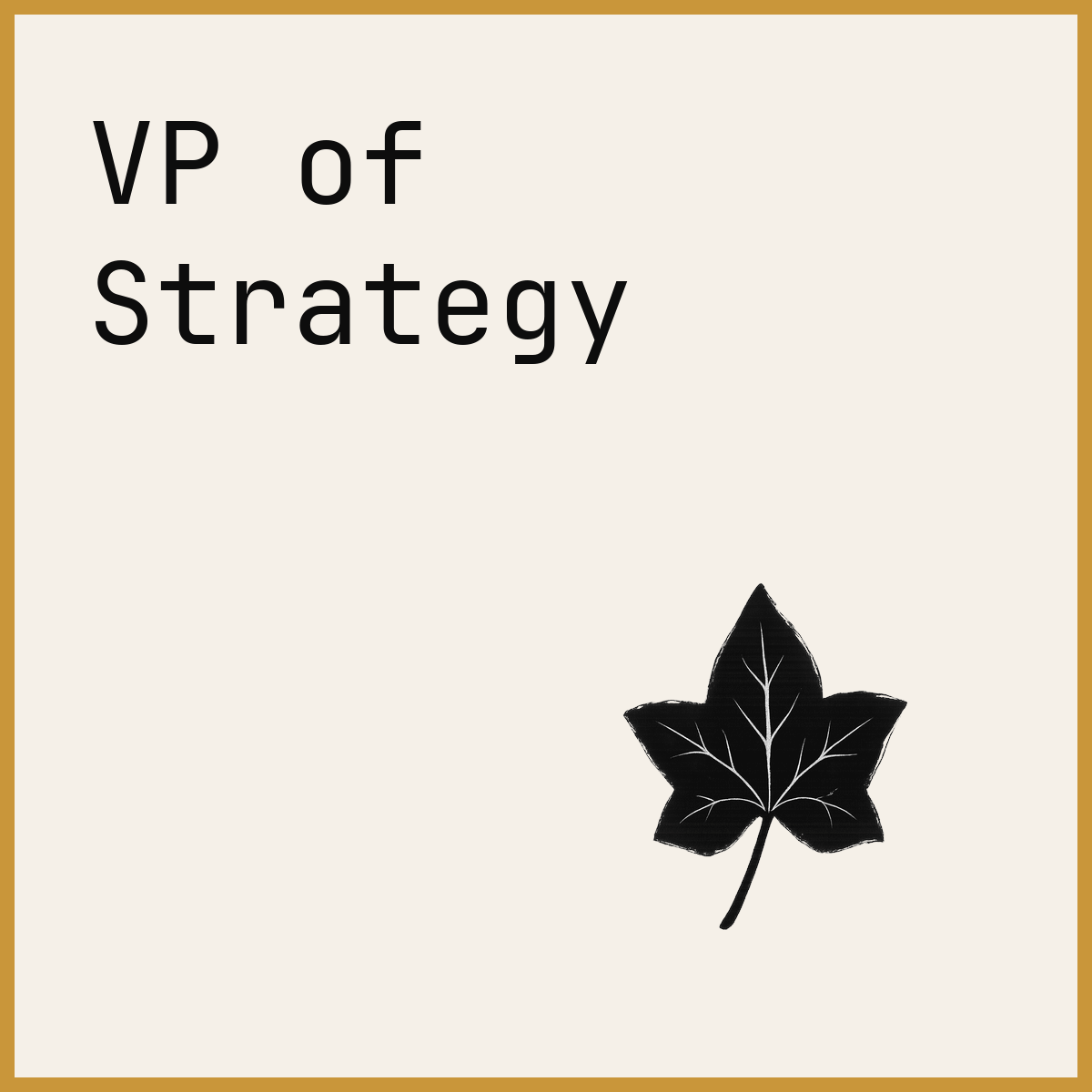 VP of Strategy