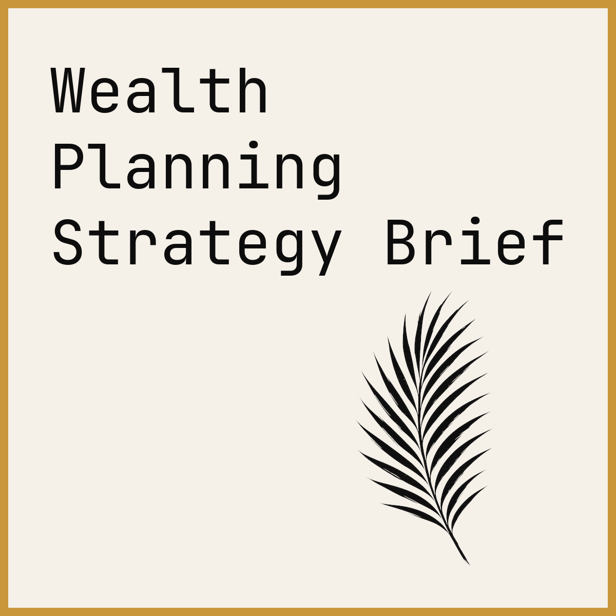 Wealth Planning Strategy Brief