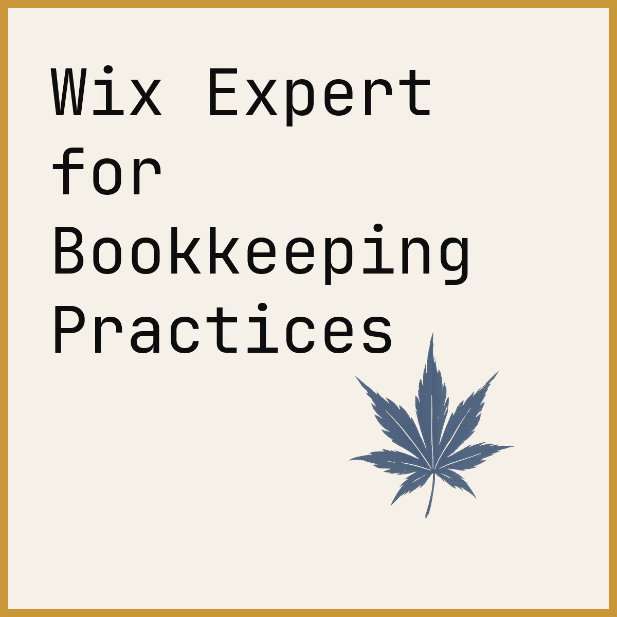 Wix Expert for Bookkeeping Practices