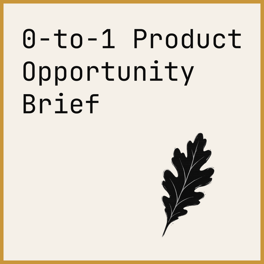 0-to-1 Product Opportunity Brief