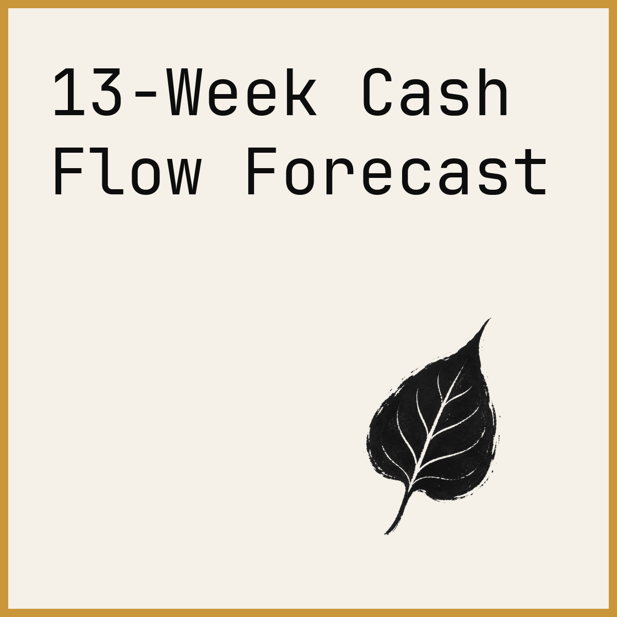 13-Week Cash Flow Forecast