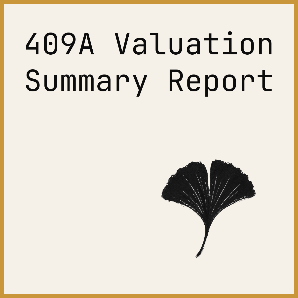 409A Valuation Summary Report