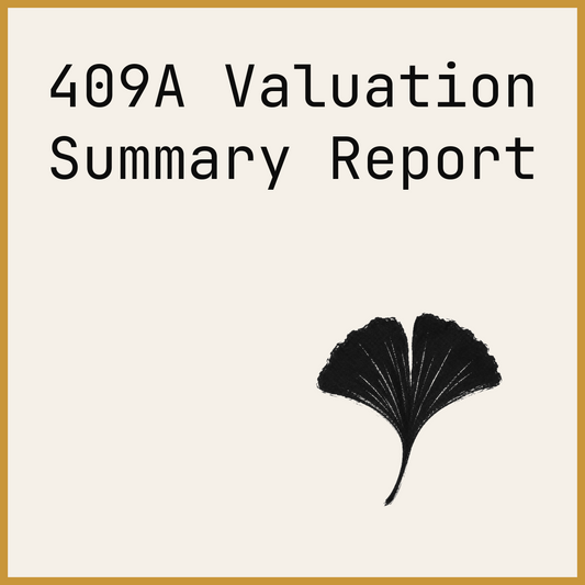 409A Valuation Summary Report