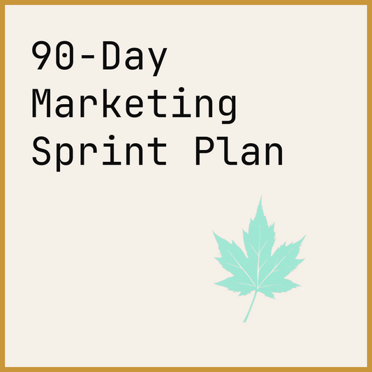 90-Day Marketing Sprint Plan