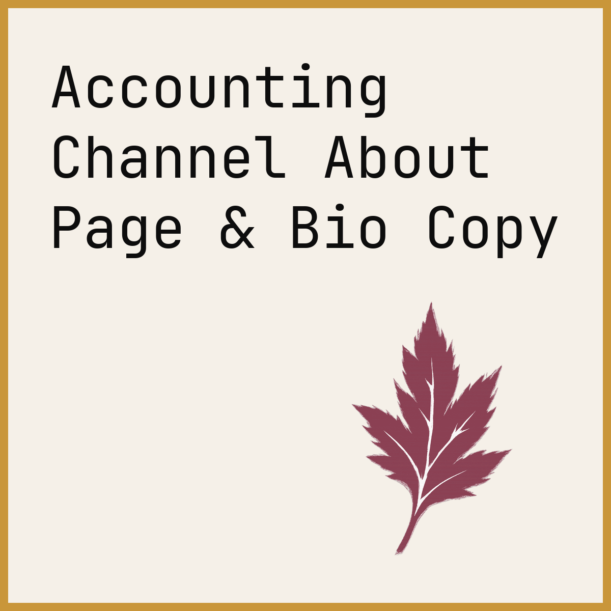 Accounting Channel About Page & Bio Copy