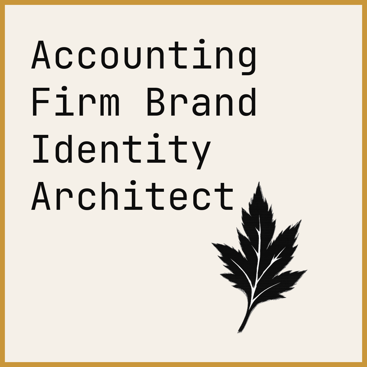 Accounting Firm Brand Identity Architect
