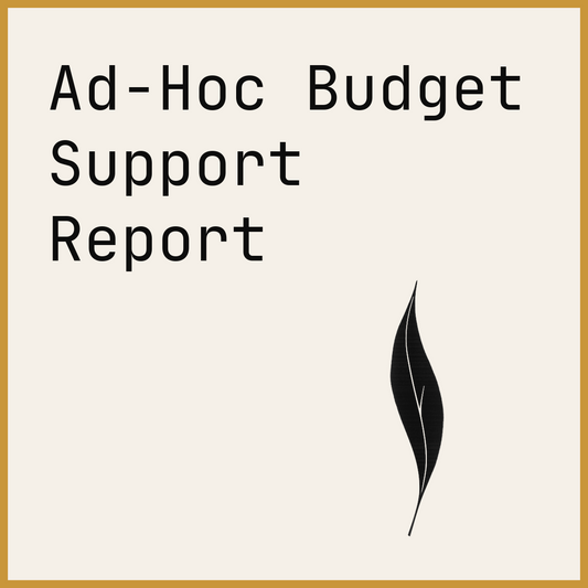 Ad-Hoc Budget Support Report