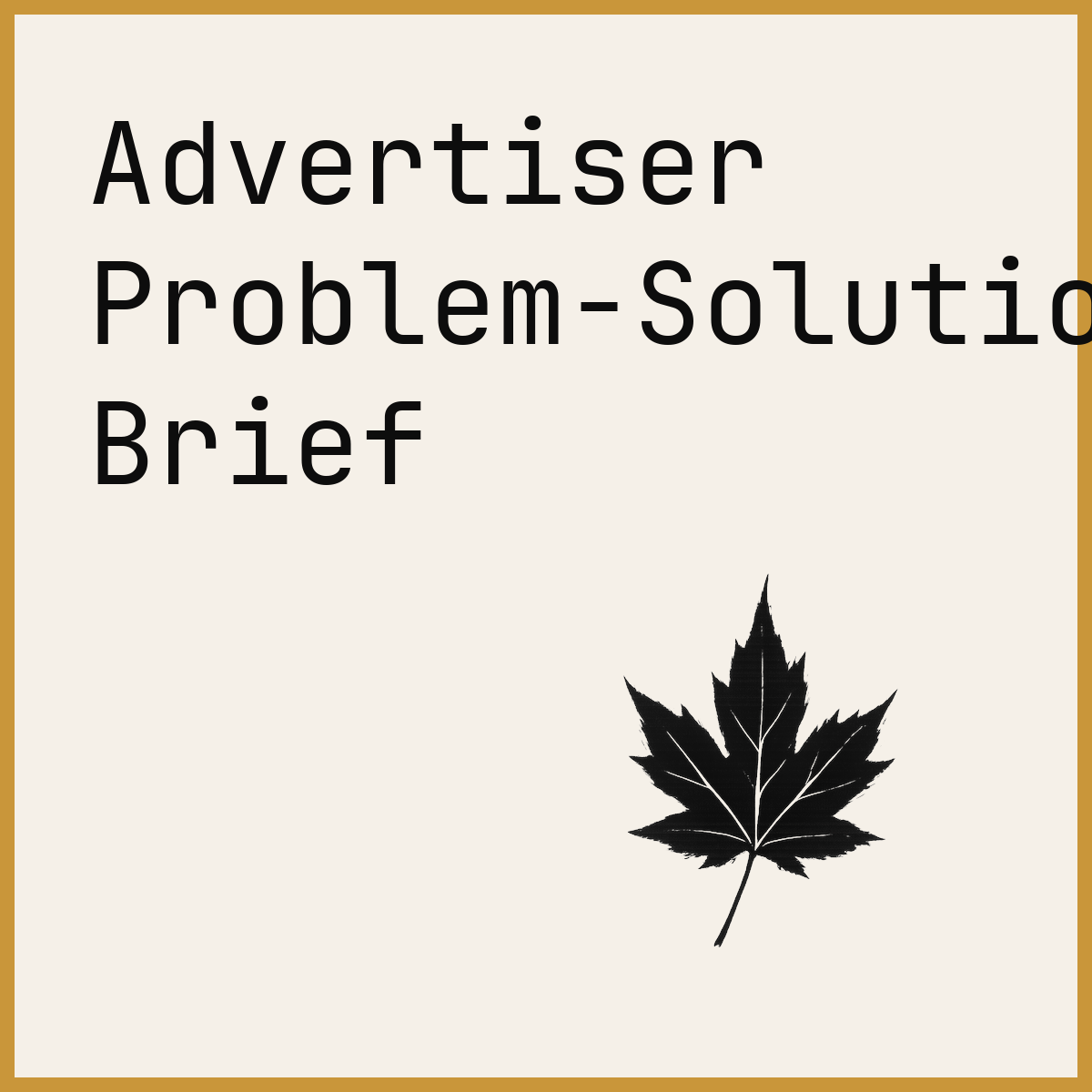 Advertiser Problem-Solution Brief