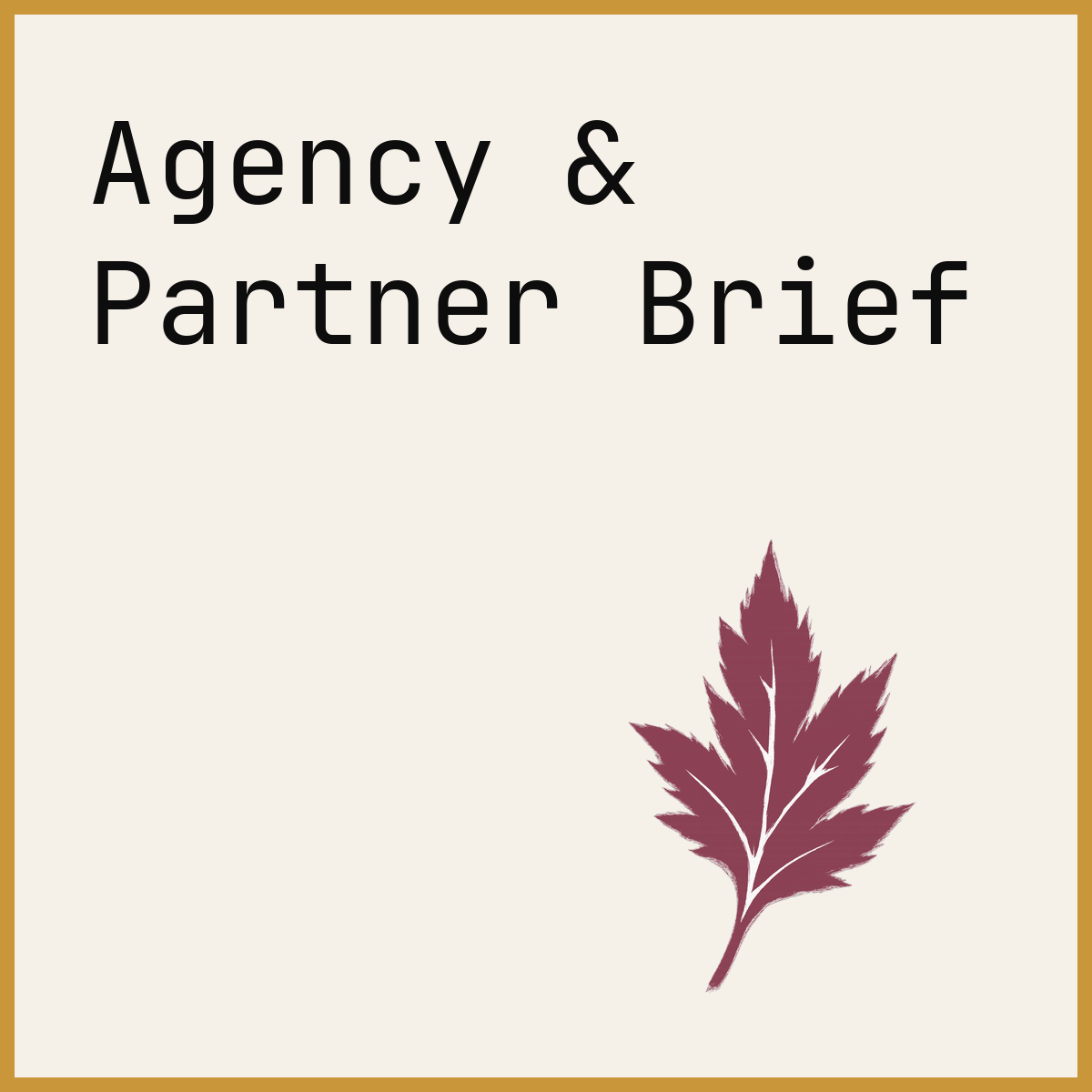 Agency & Partner Brief