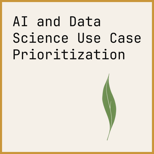 AI and Data Science Use Case Prioritization