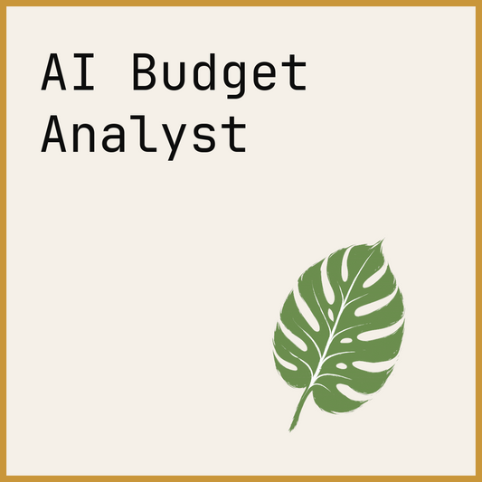 AI Budget Analyst