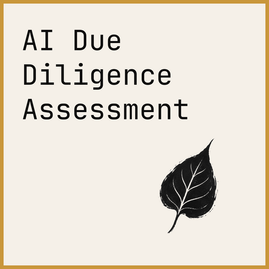 AI Due Diligence Assessment