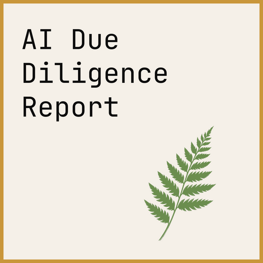 AI Due Diligence Report