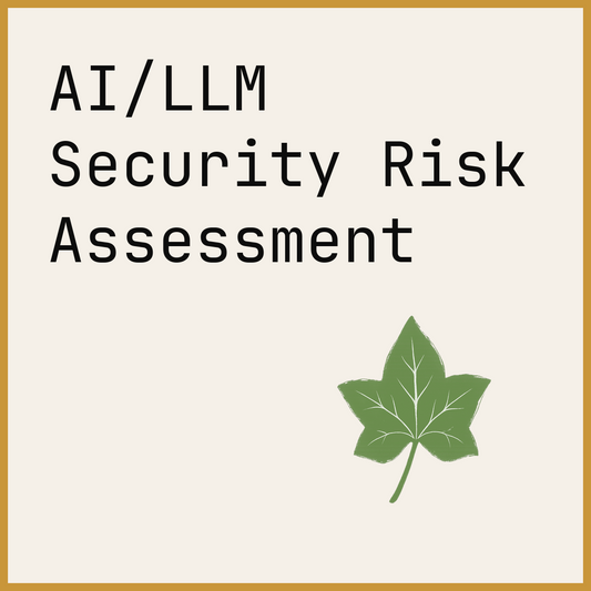 AI/LLM Security Risk Assessment