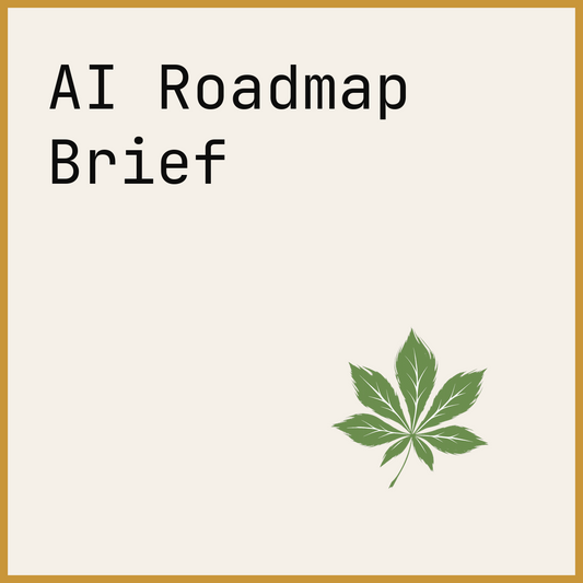 AI Roadmap Brief