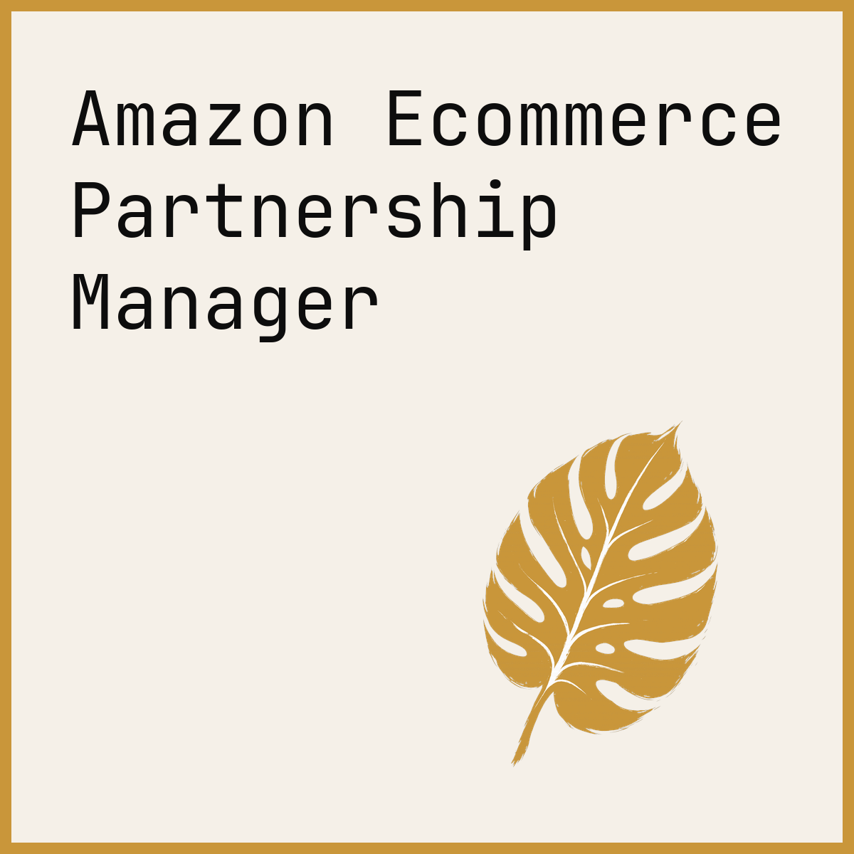 Amazon Ecommerce Partnership Manager