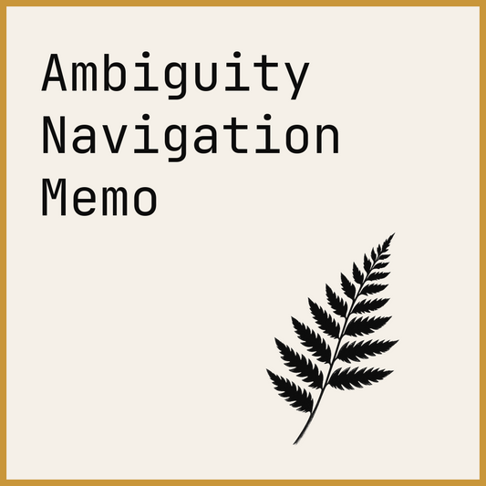 Ambiguity Navigation Memo