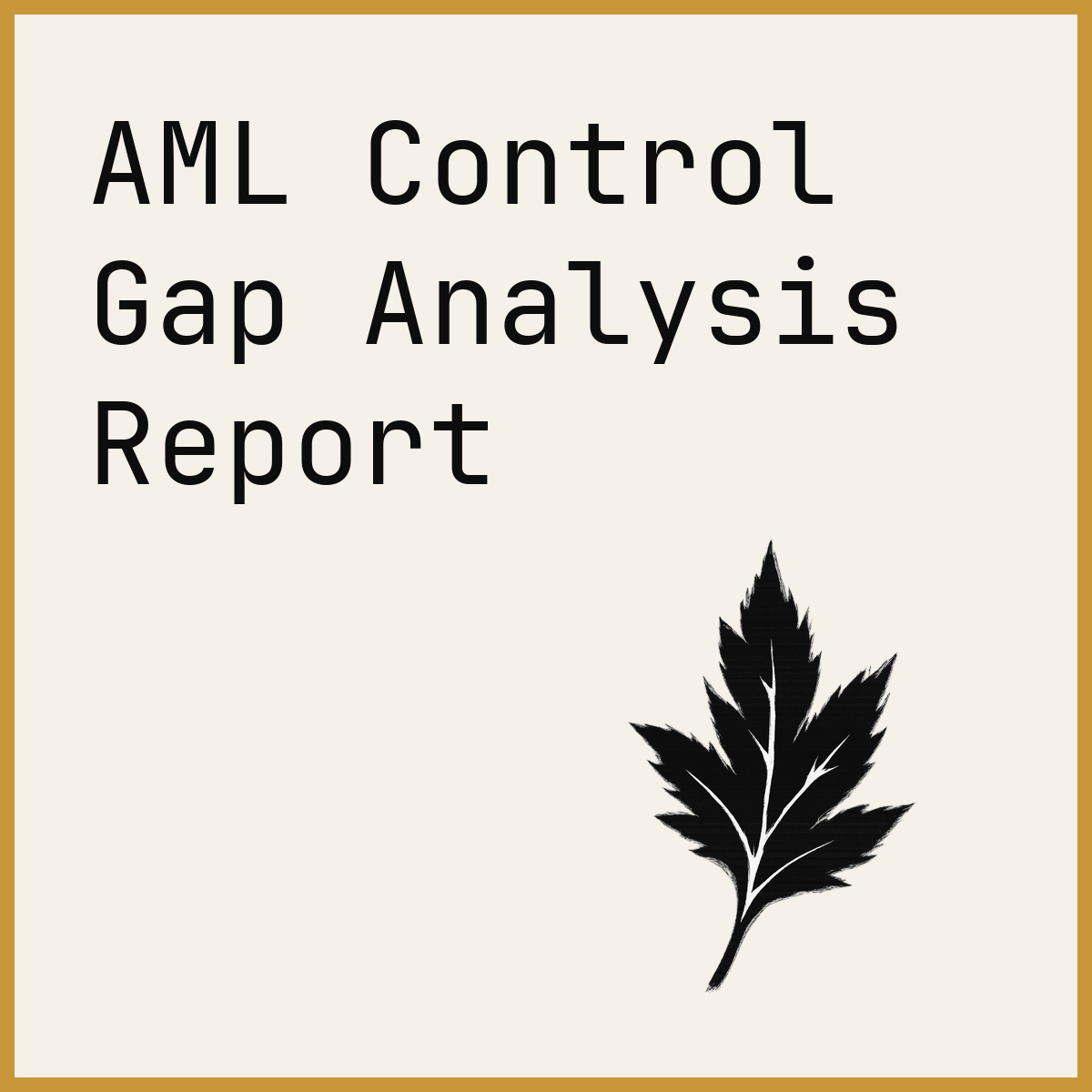 AML Control Gap Analysis Report