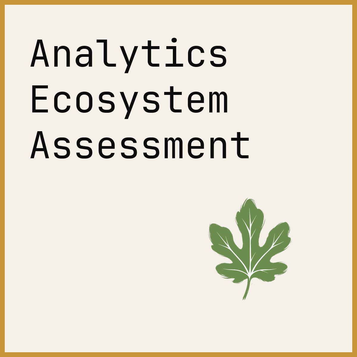 Analytics Ecosystem Assessment
