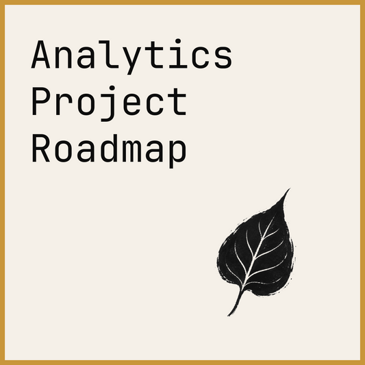 Analytics Project Roadmap