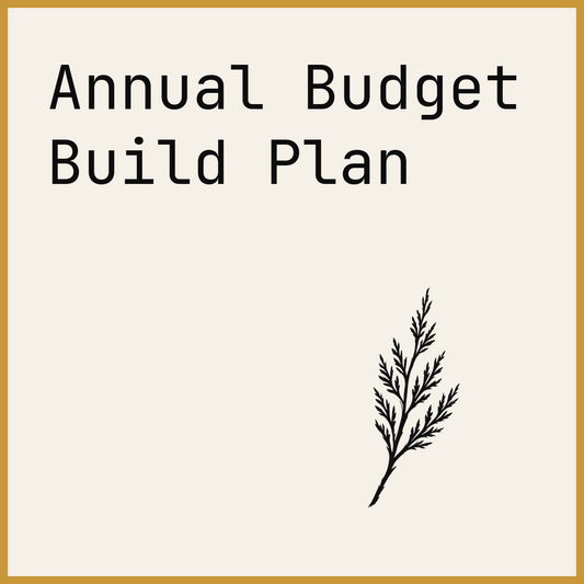 Annual Budget Build Plan