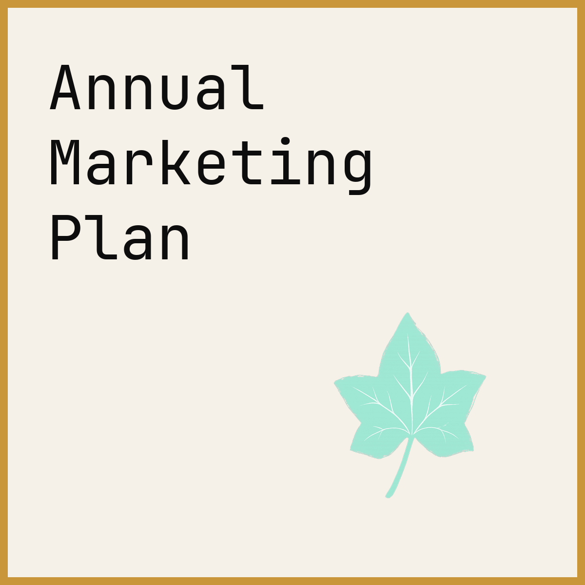 Annual Marketing Plan