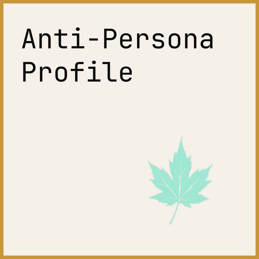Anti-Persona Profile