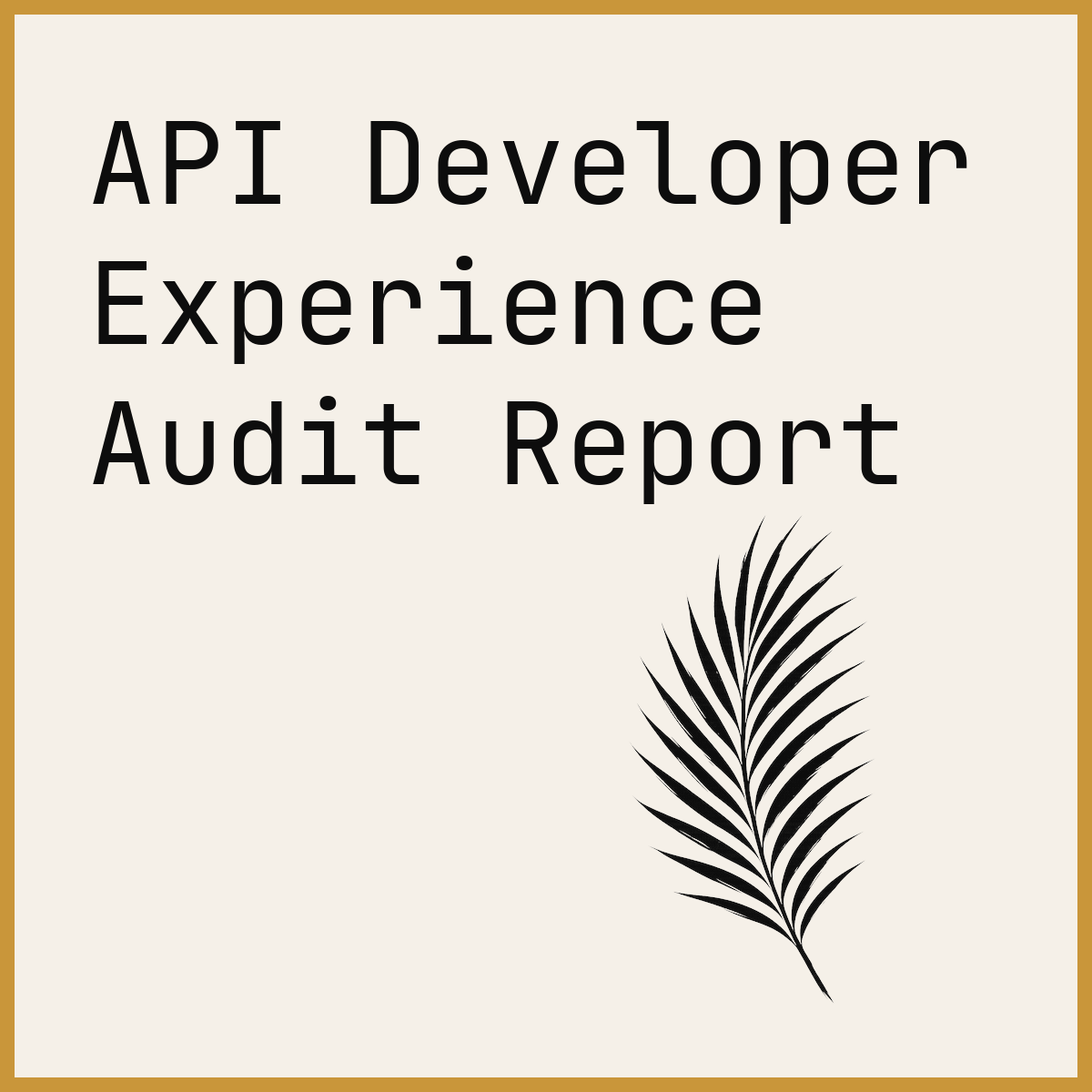 API Developer Experience Audit Report