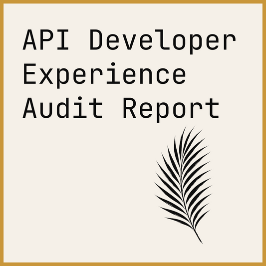 API Developer Experience Audit Report
