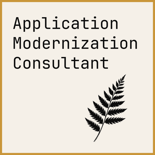 Application Modernization Consultant