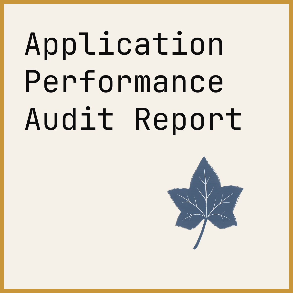 Application Performance Audit Report