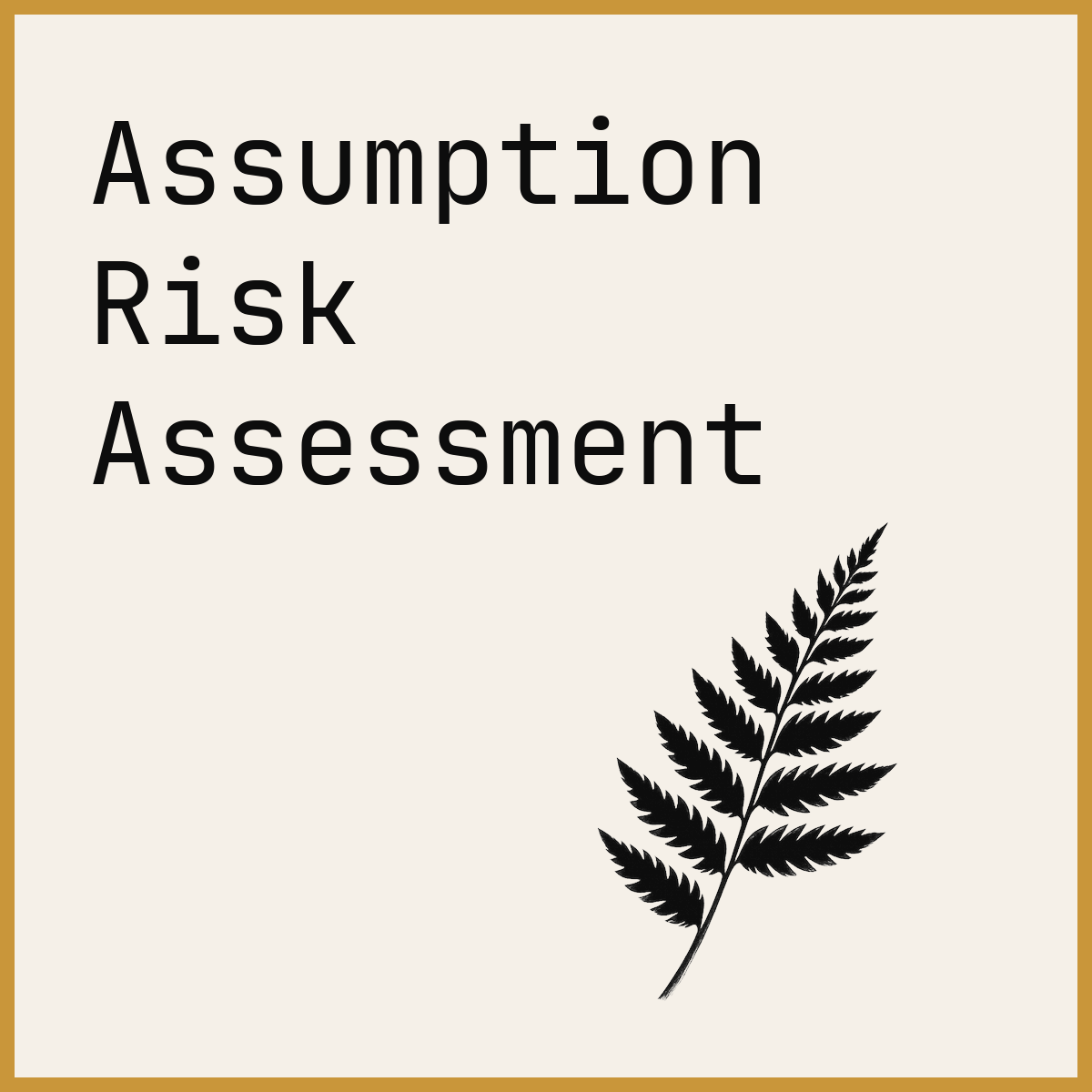 Assumption Risk Assessment