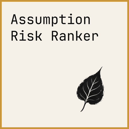 Assumption Risk Ranker
