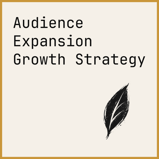 Audience Expansion Growth Strategy