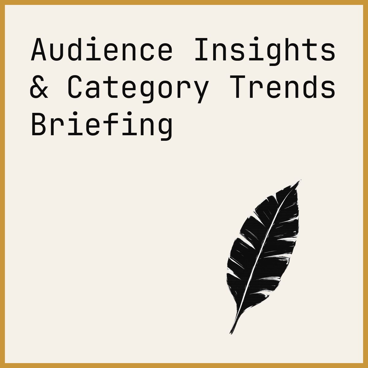 Audience Insights & Category Trends Briefing