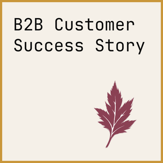 B2B Customer Success Story