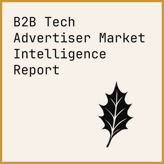 B2B Tech Advertiser Market Intelligence Report