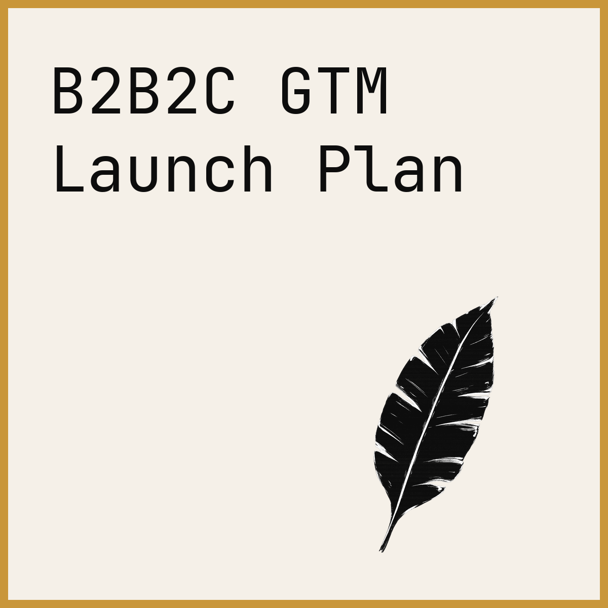 B2B2C GTM Launch Plan