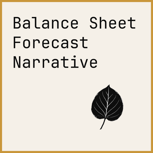 Balance Sheet Forecast Narrative