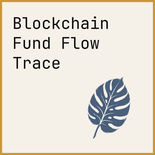 Blockchain Fund Flow Trace