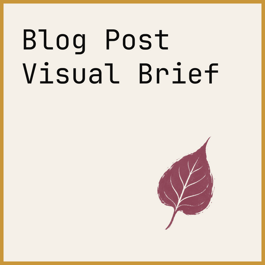 Blog Post Visual Brief