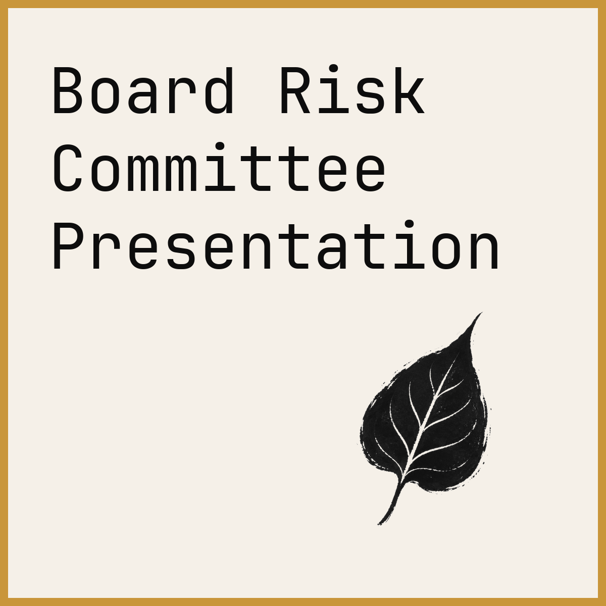 Board Risk Committee Presentation