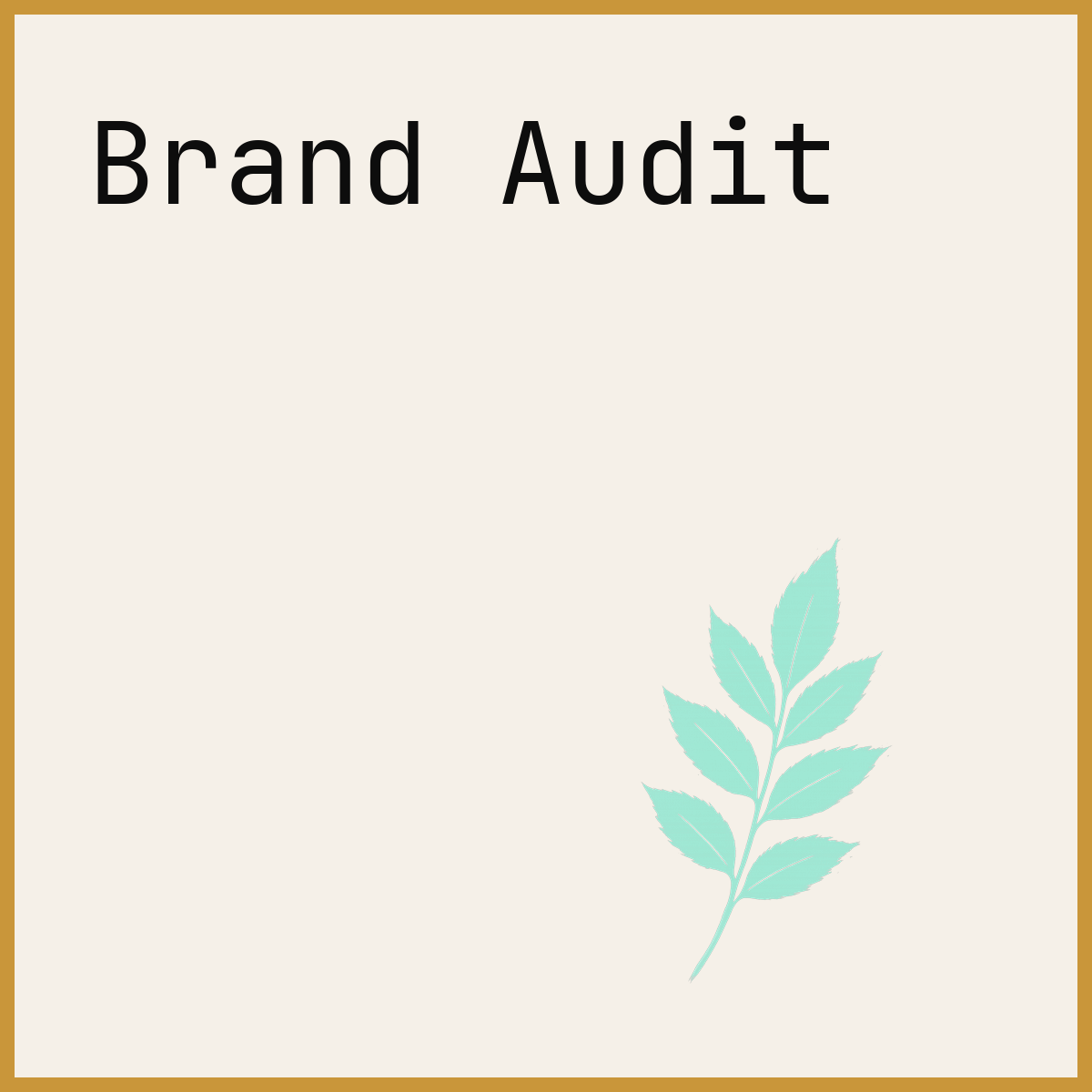 Brand Audit