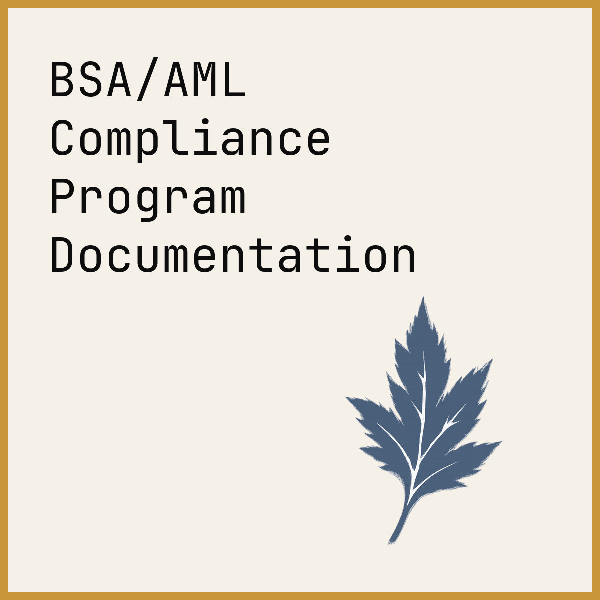 BSA/AML Compliance Program Documentation