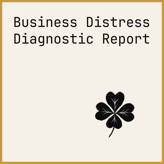 Business Distress Diagnostic Report